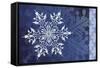 Cristal de Glace IV-null-Framed Stretched Canvas