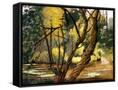 Canvas Black