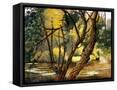 Canvas Black