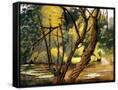 Canvas Black