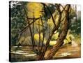 Stretched Canvas