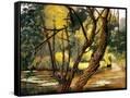 Canvas Black