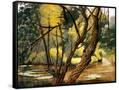 Canvas Black
