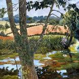 Summer amongst the reeds-Cristiana Angelini-Giclee Print