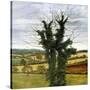 Stretched Canvas