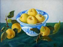 Fruit on a Staffordshire Dish, 2013-Cristiana Angelini-Giclee Print