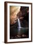 Brown Frame