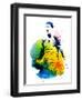 Cristiano Ronaldo-Nelly Glenn-Framed Art Print