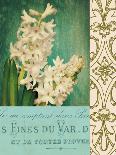 Floral Souvenir 1-Cristin Atria-Art Print