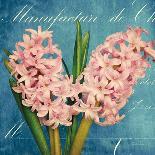 Vintage Tulips I-Cristin Atria-Giclee Print