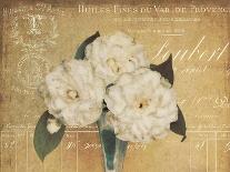 Plum Daisies-Cristin Atria-Art Print