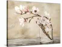 Fiori di magnolia-Cristina Mavaracchio-Art Print
