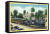 Cristobal, Panama - Train Passing Through the Canal Zone-Lantern Press-Framed Stretched Canvas