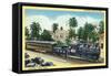 Cristobal, Panama - Train Passing Through the Canal Zone-Lantern Press-Framed Stretched Canvas