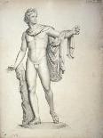 Drawing of the Apollo Belvedere-Cristoforo Recalcati-Art Print