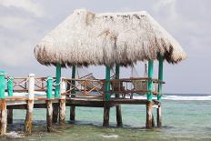 Idyllic Beach with Coconut Trees at Mexico-cristovao-Photographic Print