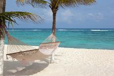 Idyllic Beach with Coconut Trees at Mexico-cristovao-Photographic Print