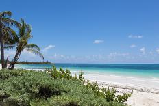 Idyllic Beach with Coconut Trees at Mexico-cristovao-Photographic Print