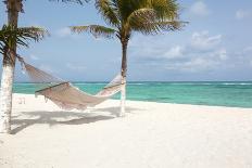 Idyllic Beach with Coconut Trees at Mexico-cristovao-Photographic Print