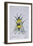 Critical Critter Bumble Bee, Fear and Loathing in Las Vegas, 1971 (drawing)-Ralph Steadman-Framed Giclee Print