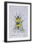 Critical Critter Bumble Bee, Fear and Loathing in Las Vegas, 1971 (drawing)-Ralph Steadman-Framed Giclee Print