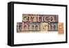 Critical Thinking-PixelsAway-Framed Stretched Canvas