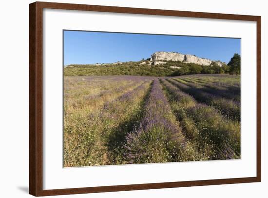 Croagnes, Provence, France-Sergio Pitamitz-Framed Photographic Print