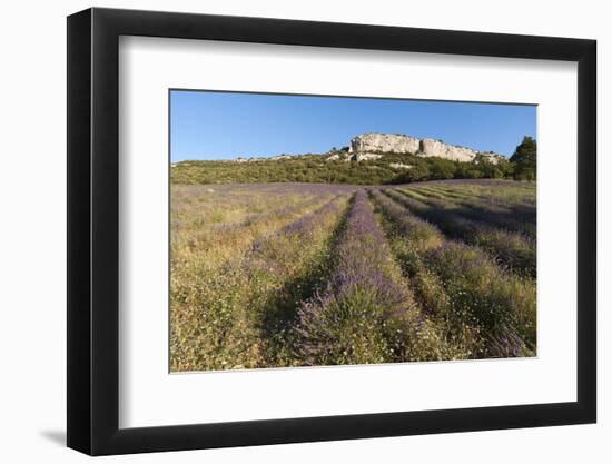 Croagnes, Provence, France-Sergio Pitamitz-Framed Photographic Print