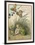 Croak Said the Frog-Eleanor Vere Boyle-Framed Art Print