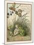 Croak Said the Frog-Eleanor Vere Boyle-Mounted Art Print