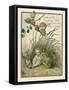 Croak Said the Frog-Eleanor Vere Boyle-Framed Stretched Canvas