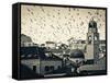 Croatia, Dalmatia, Dubrovnik, Old Town (Stari Grad), Clock Tower Surrounded by Birds-Alan Copson-Framed Stretched Canvas