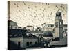 Croatia, Dalmatia, Dubrovnik, Old Town (Stari Grad), Clock Tower Surrounded by Birds-Alan Copson-Stretched Canvas