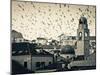 Croatia, Dalmatia, Dubrovnik, Old Town (Stari Grad), Clock Tower Surrounded by Birds-Alan Copson-Mounted Photographic Print