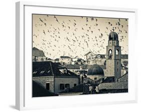 Croatia, Dalmatia, Dubrovnik, Old Town (Stari Grad), Clock Tower Surrounded by Birds-Alan Copson-Framed Photographic Print