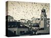 Croatia, Dalmatia, Dubrovnik, Old Town (Stari Grad), Clock Tower Surrounded by Birds-Alan Copson-Stretched Canvas