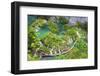 Croatia, Dalmatia, Karlovac, Plitvice, Plitvice national park, Lower lakes-Jordan Banks-Framed Photographic Print