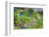 Croatia, Dalmatia, Karlovac, Plitvice, Plitvice national park, Lower lakes-Jordan Banks-Framed Photographic Print