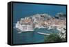 Croatia, Dalmatia Region, Dubrovnik, Old Town-null-Framed Stretched Canvas