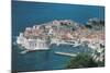 Croatia, Dalmatia Region, Dubrovnik, Old Town-null-Mounted Giclee Print