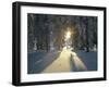 Croatia, Dalmatia, Slano, Coast-Thonig-Framed Photographic Print