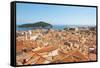 Croatia, Dubrovnik. Dense walled city, Adriatic, Lokrum Island.-Trish Drury-Framed Stretched Canvas