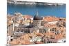 Croatia, Dubrovnik. Old City Cathedral, red tile roofs and Adriatic.-Trish Drury-Mounted Photographic Print