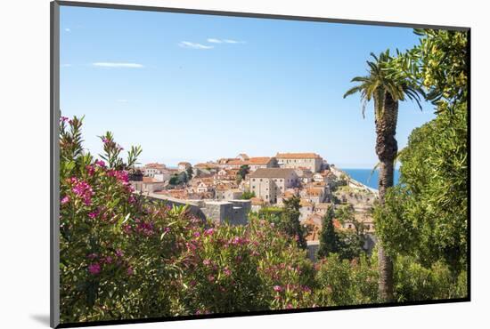Croatia, Dubrovnik. View from hill above walled city.-Trish Drury-Mounted Photographic Print