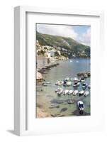 Croatia, Dubrovnik. View of marina and coastline from old city wall.-Trish Drury-Framed Photographic Print