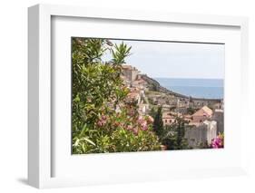 Croatia, Dubrovnik. Walled city old town viewed from hill. Blooming oleander frames.-Trish Drury-Framed Photographic Print