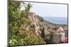 Croatia, Dubrovnik. Walled city old town viewed from hill. Blooming oleander frames.-Trish Drury-Mounted Photographic Print