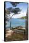 Croatia, Hvar Island, Stari Grad. Picturesque waterfront spot for bench.-Trish Drury-Framed Stretched Canvas