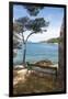 Croatia, Hvar Island, Stari Grad. Picturesque waterfront spot for bench.-Trish Drury-Framed Premium Photographic Print