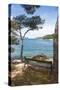 Croatia, Hvar Island, Stari Grad. Picturesque waterfront spot for bench.-Trish Drury-Stretched Canvas